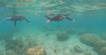 武藤潜水に投稿された画像（2023/9/6）