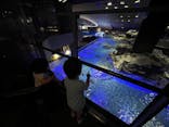 すみだ水族館に投稿された画像（2023/9/6）