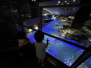 すみだ水族館に投稿された画像（2023/9/6）