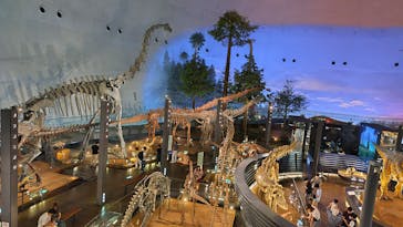福井県立恐竜博物館に投稿された画像（2023/9/6）