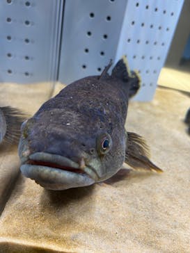 AOAO SAPPOROに投稿された画像（2023/9/6）