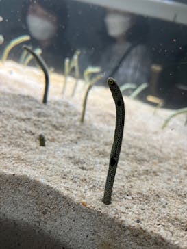 AOAO SAPPOROに投稿された画像（2023/9/6）