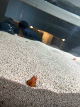 AOAO SAPPOROに投稿された画像（2023/9/6）