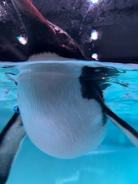 AOAO SAPPOROに投稿された画像（2023/9/6）