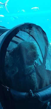 箱根園水族館に投稿された画像（2023/9/6）