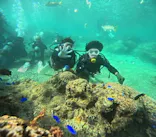 武藤潜水に投稿された画像（2023/9/6）