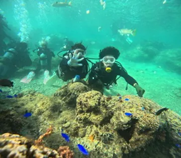 武藤潜水に投稿された画像（2023/9/6）