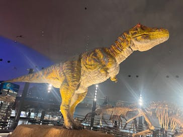 福井県立恐竜博物館に投稿された画像（2023/9/6）