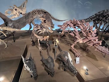 福井県立恐竜博物館に投稿された画像（2023/9/6）