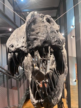 福井県立恐竜博物館に投稿された画像（2023/9/6）