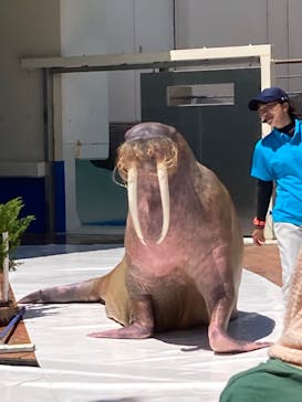 南知多ビーチランド＆南知多おもちゃ王国に投稿された画像（2023/9/6）