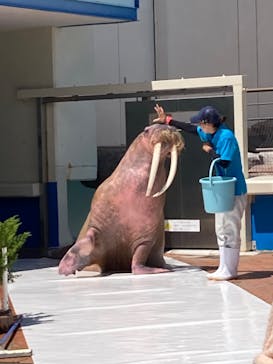 南知多ビーチランド＆南知多おもちゃ王国に投稿された画像（2023/9/6）