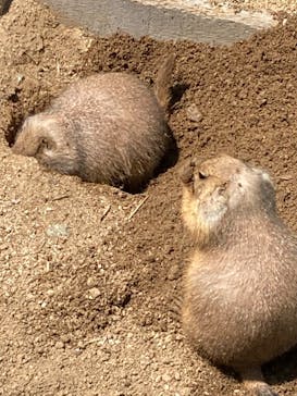 南知多ビーチランド＆南知多おもちゃ王国に投稿された画像（2023/9/6）