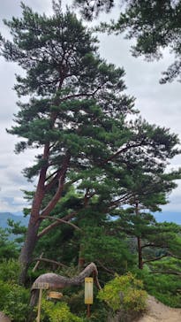 昇仙峡ロープウェイに投稿された画像（2023/9/6）