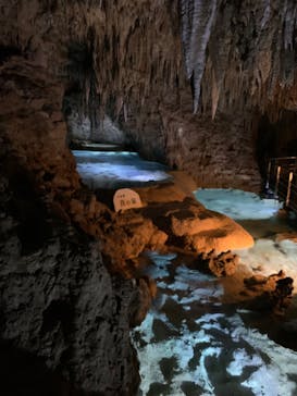 おきなわワールドに投稿された画像（2023/9/6）