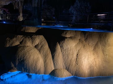 おきなわワールドに投稿された画像（2023/9/6）