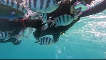 青の洞窟専門店　沖縄ダイビングショップ和に投稿された画像（2023/9/6）