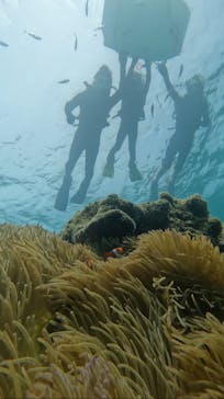 青の洞窟専門店　沖縄ダイビングショップ和に投稿された画像（2023/9/6）