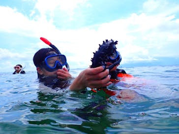 石垣島 ADVENTURE PiPi（イシガキジマアドベンチャーピピ）に投稿された画像（2023/9/6）