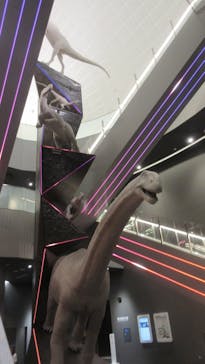 福井県立恐竜博物館に投稿された画像（2023/9/6）