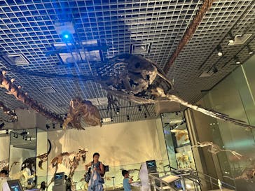 国立科学博物館に投稿された画像（2023/9/6）