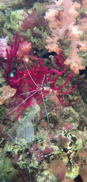 環境水族館アクアマリンふくしまに投稿された画像（2023/9/6）