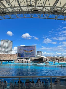 名古屋港水族館に投稿された画像（2023/9/6）