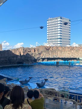 名古屋港水族館に投稿された画像（2023/9/6）