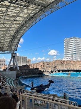 名古屋港水族館に投稿された画像（2023/9/6）