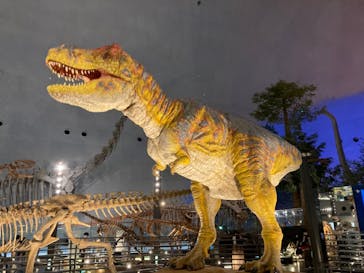 福井県立恐竜博物館に投稿された画像（2023/9/6）