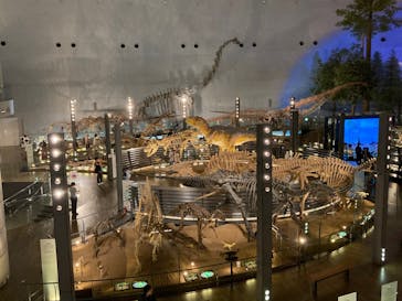 福井県立恐竜博物館に投稿された画像（2023/9/6）