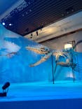 DinoScience 恐竜科学博 2023@TOKYO MIDTOWNに投稿された画像（2023/9/7）