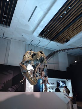 DinoScience 恐竜科学博 2023@TOKYO MIDTOWNに投稿された画像（2023/9/6）