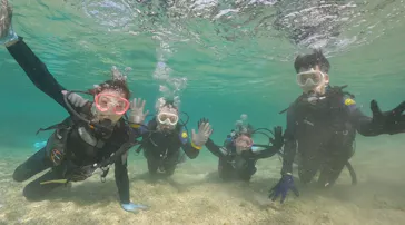 武藤潜水に投稿された画像（2023/9/7）