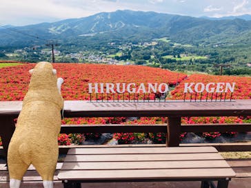 ひるがのピクニックガーデンに投稿された画像（2023/9/7）