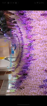 東京サマーランドに投稿された画像（2023/9/7）