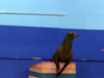 ゼロ距離水族館 伊勢シーパラダイスに投稿された画像（2023/9/7）