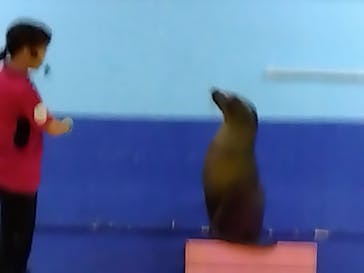 ゼロ距離水族館 伊勢シーパラダイスに投稿された画像（2023/9/7）