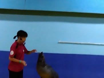 ゼロ距離水族館 伊勢シーパラダイスに投稿された画像（2023/9/7）