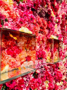 NARA KINGYO MUSEUMに投稿された画像（2023/9/7）