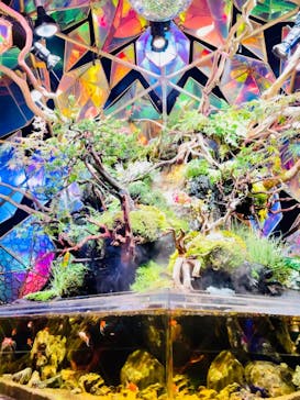 NARA KINGYO MUSEUMに投稿された画像（2023/9/7）