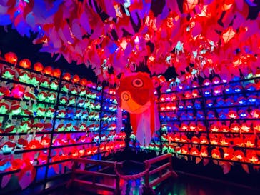 NARA KINGYO MUSEUMに投稿された画像（2023/9/7）