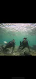 武藤潜水に投稿された画像（2023/9/7）