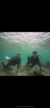 武藤潜水に投稿された画像（2023/9/7）