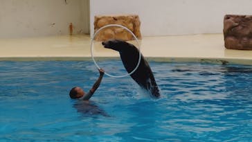 伊豆・三津シーパラダイスに投稿された画像（2023/9/7）