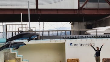 伊豆・三津シーパラダイスに投稿された画像（2023/9/7）