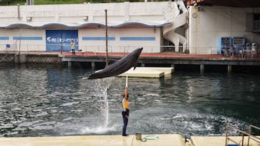 伊豆・三津シーパラダイスに投稿された画像（2023/9/7）