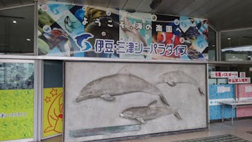 伊豆・三津シーパラダイスに投稿された画像（2023/9/7）