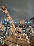 福井県立恐竜博物館に投稿された画像（2023/9/7）