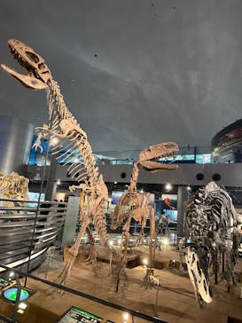 福井県立恐竜博物館に投稿された画像（2023/9/7）